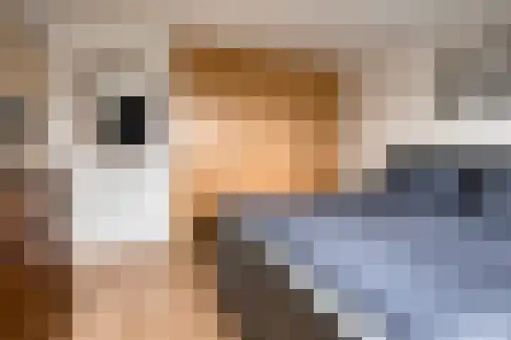 Eikenlaan 49 Molenhoek thumbnail 17