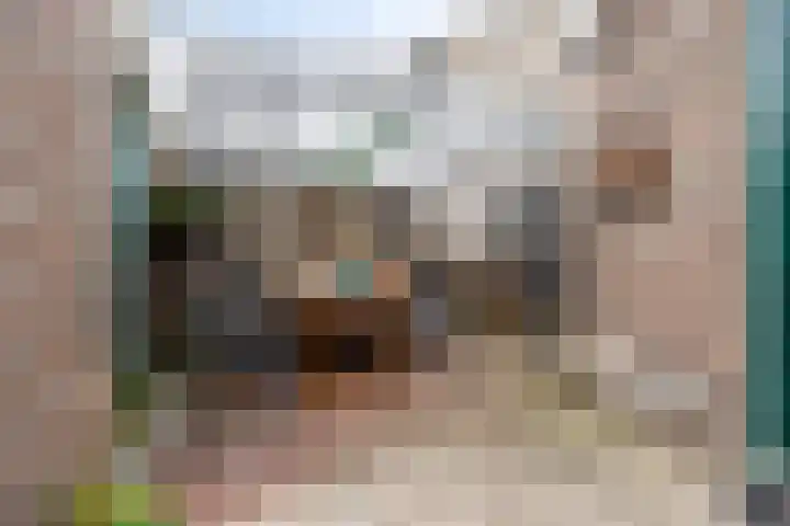 Eikenlaan 49 Molenhoek thumbnail 36