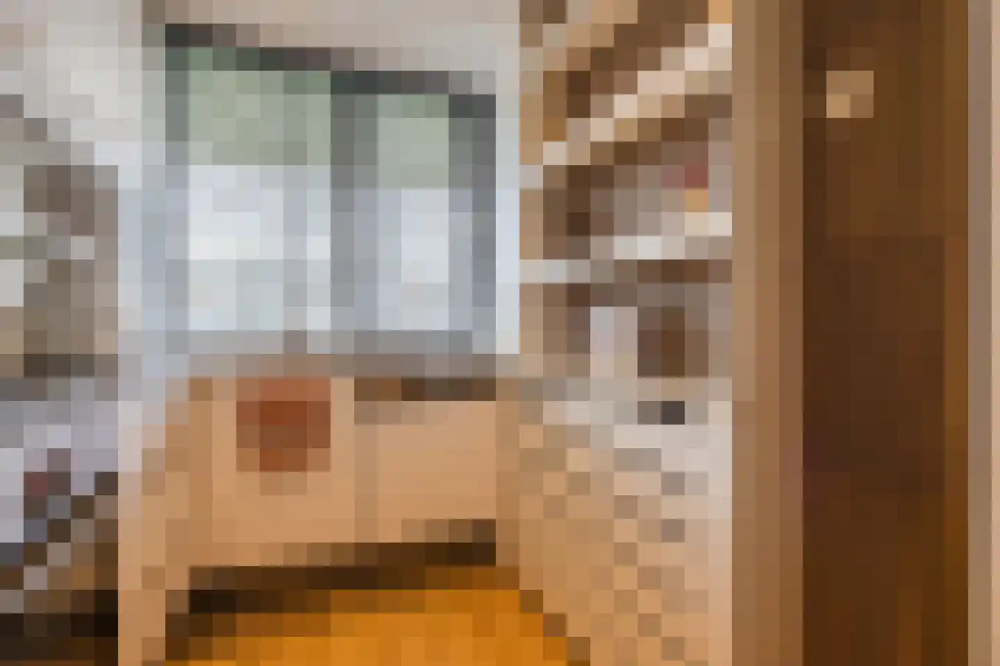 Eikenlaan 5 C Spijkenisse thumbnail 10