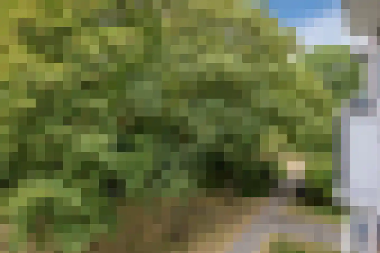 Eikenlaan 5 C Spijkenisse thumbnail 16