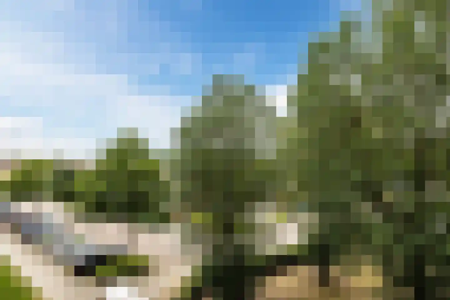 Eikenlaan 5 C Spijkenisse thumbnail 30