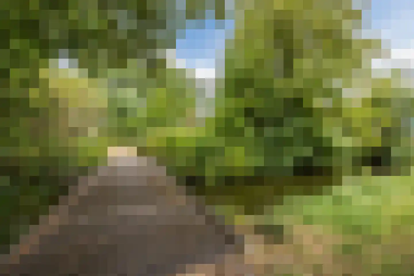 Eikenlaan 5 C Spijkenisse thumbnail 31