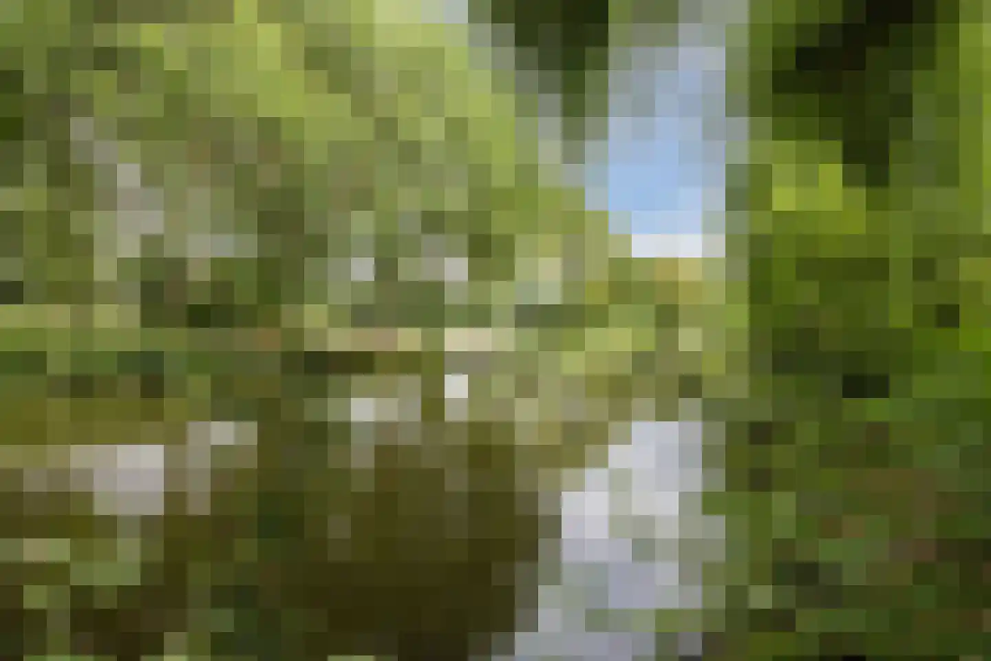 Eikenlaan 5 C Spijkenisse thumbnail 32