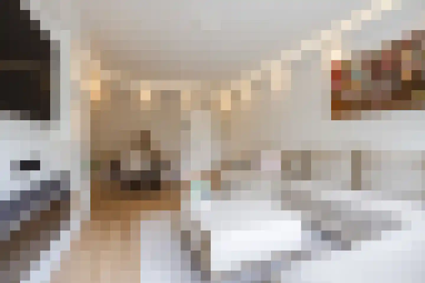 Eikenlaan 5 C Spijkenisse thumbnail 5
