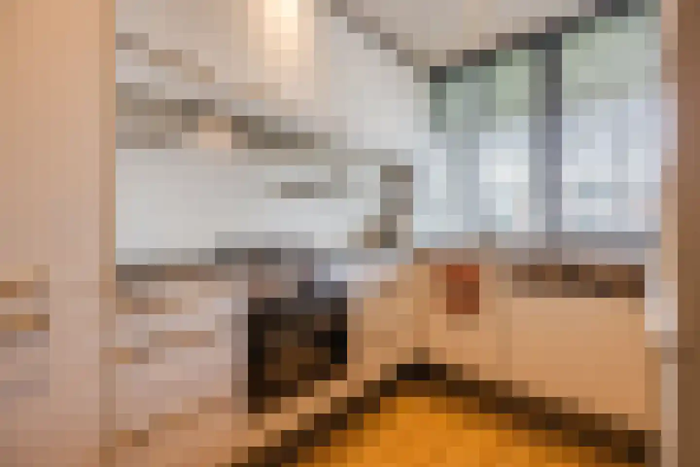 Eikenlaan 5 C Spijkenisse thumbnail 9