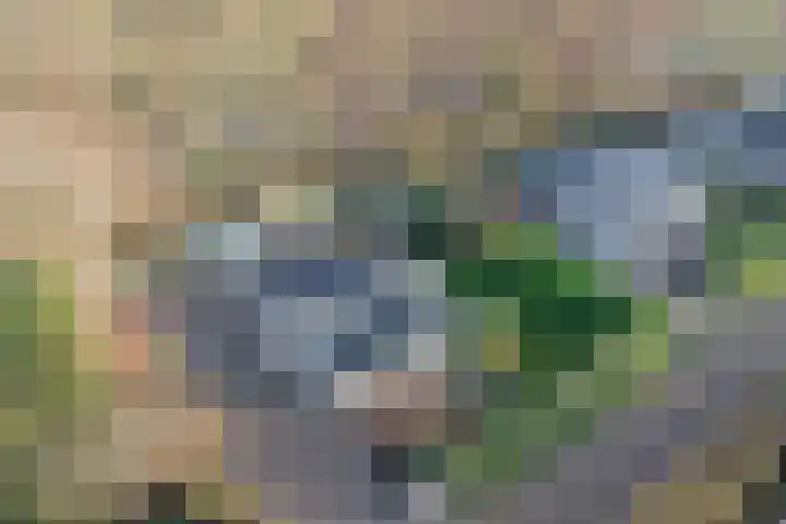Eikenlaan 5 Kamperland