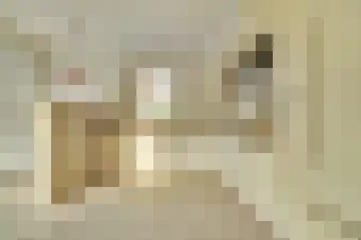 Eikenlaan 5 Kamperland thumbnail 10