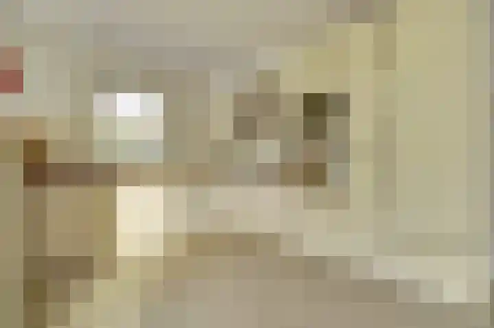 Eikenlaan 5 Kamperland thumbnail 11