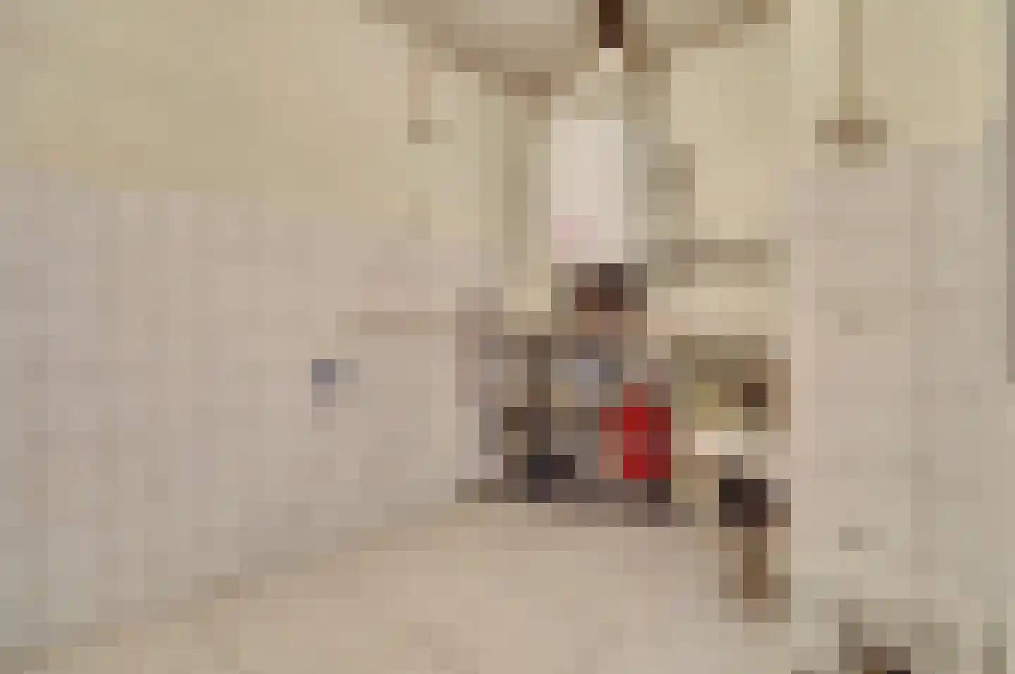 Eikenlaan 5 Kamperland thumbnail 17