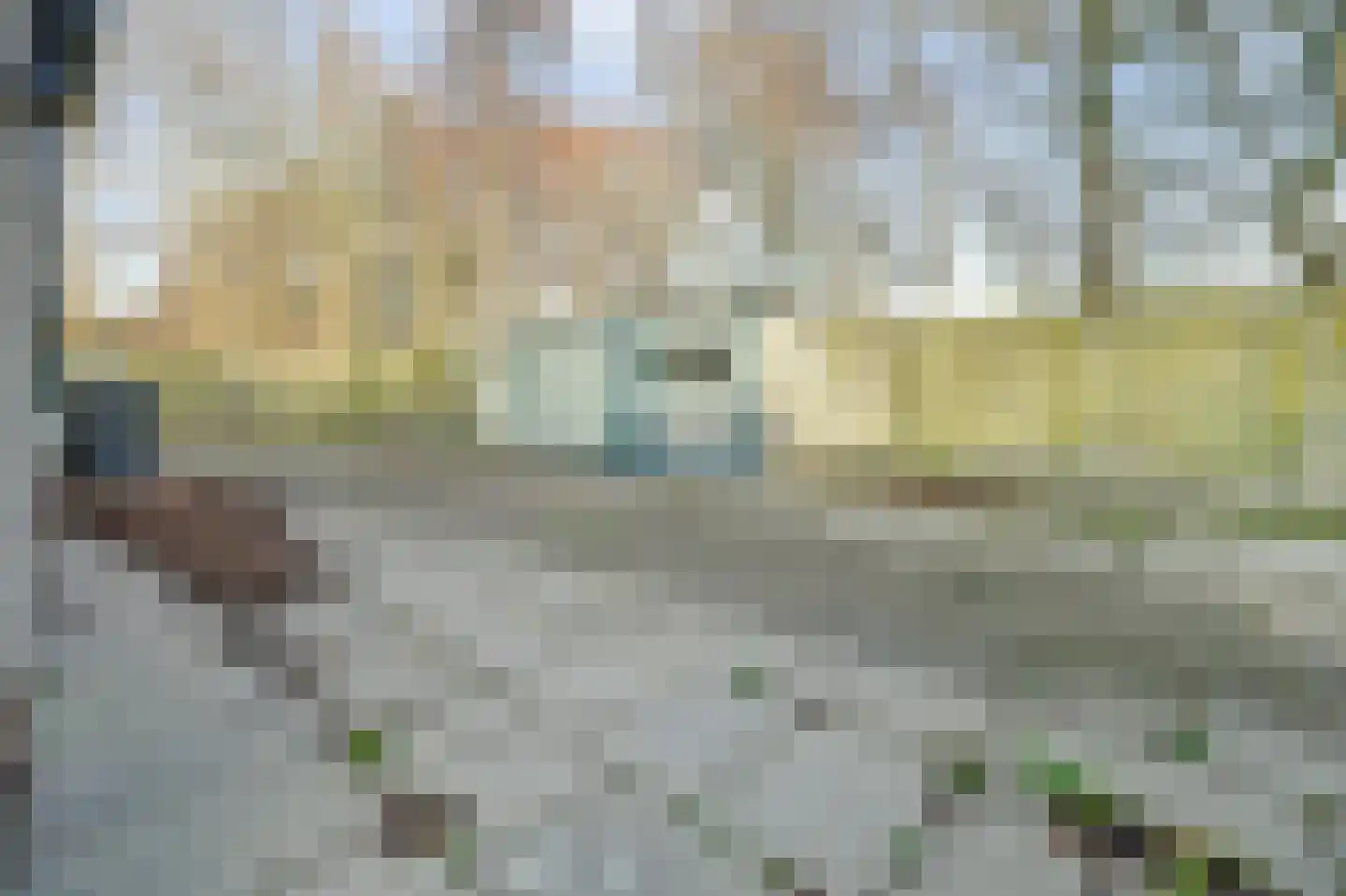 Eikenlaan 5 Kamperland thumbnail 23