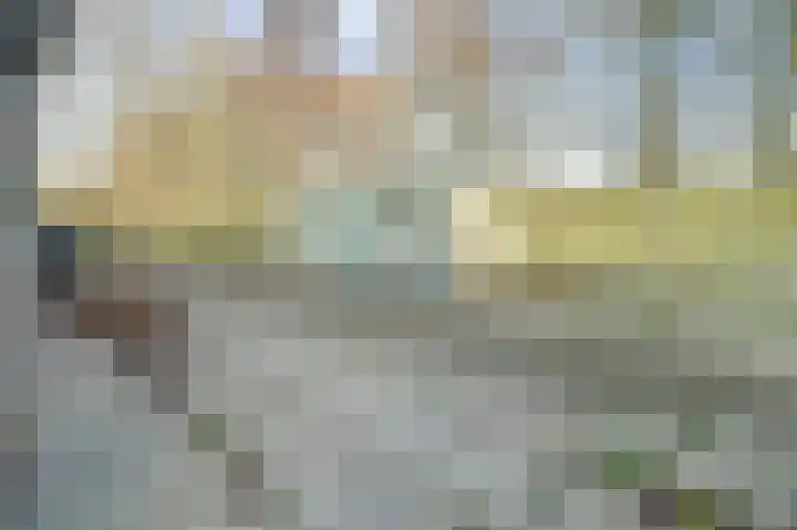 Eikenlaan 5 Kamperland thumbnail 23