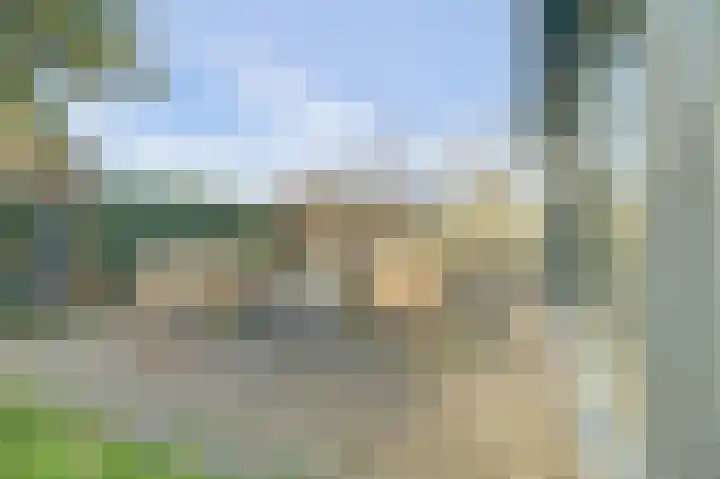 Eikenlaan 5 Kamperland thumbnail 24
