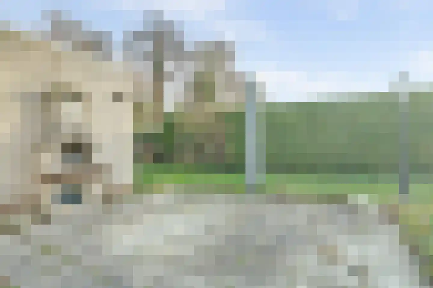 Eikenlaan 5 Kamperland thumbnail 25