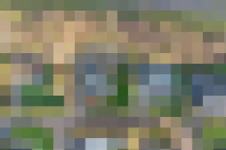 Eikenlaan 5 Kamperland thumbnail 27