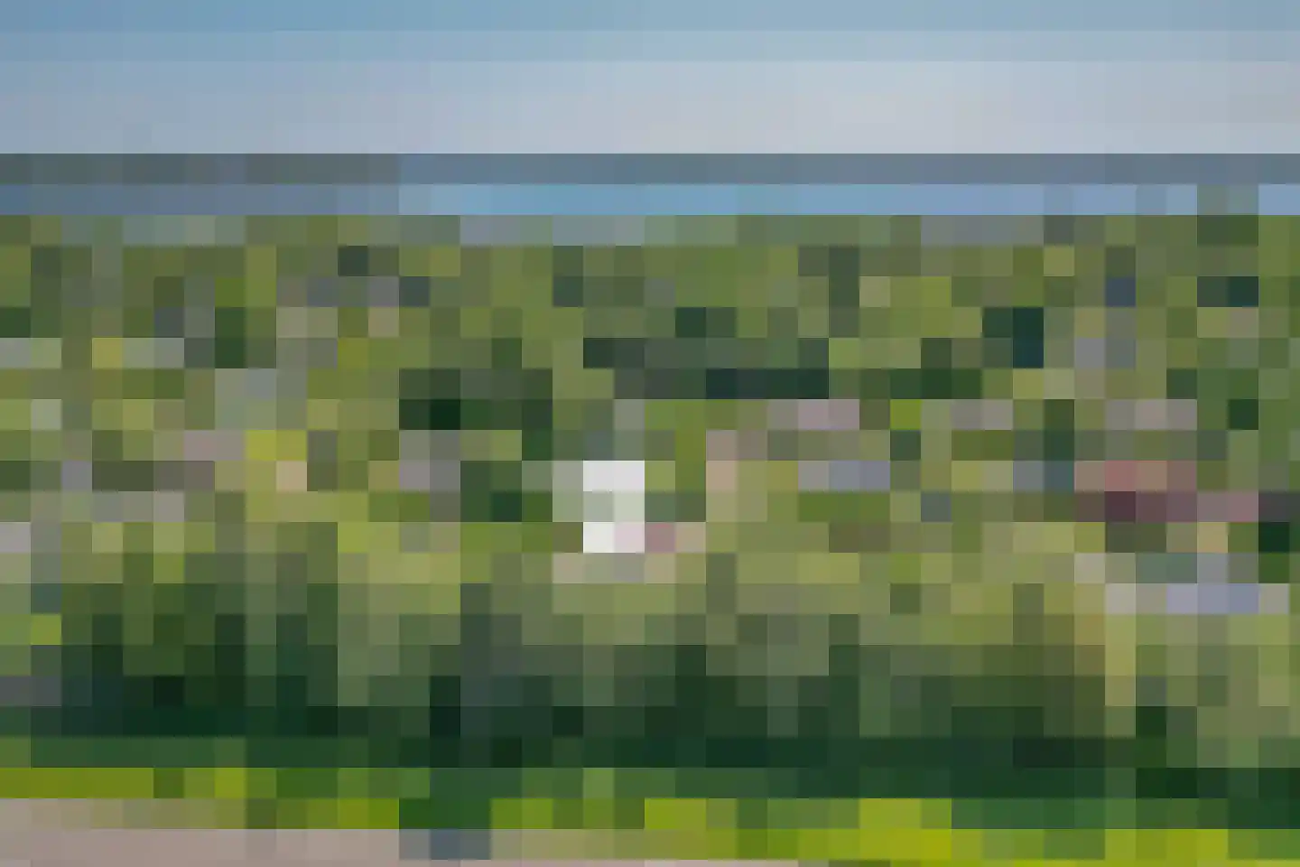 Eikenlaan 5 Kamperland thumbnail 29