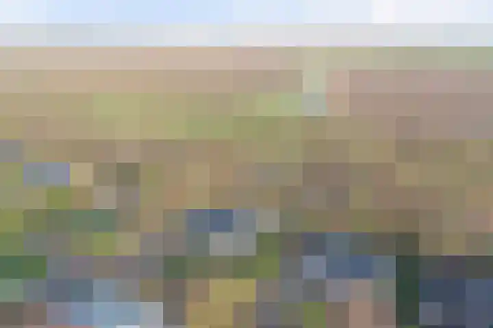 Eikenlaan 5 Kamperland thumbnail 30