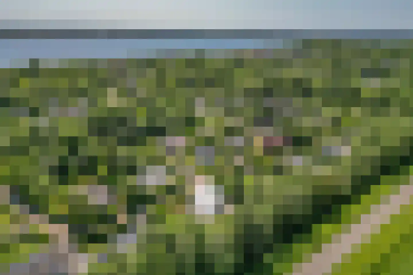 Eikenlaan 5 Kamperland thumbnail 30