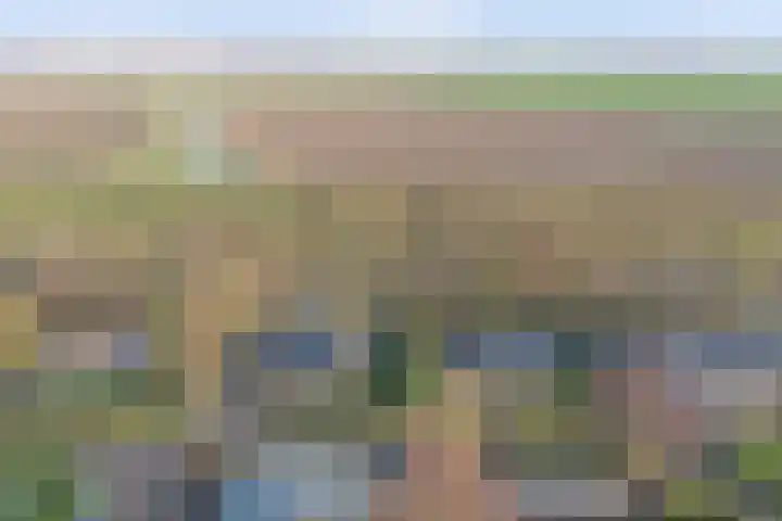 Eikenlaan 5 Kamperland thumbnail 31