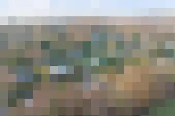 Eikenlaan 5 Kamperland thumbnail 32