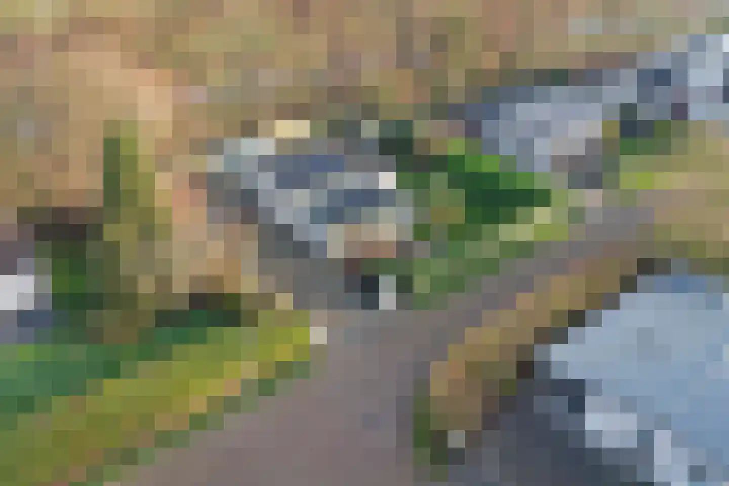 Eikenlaan 5 Kamperland thumbnail 33