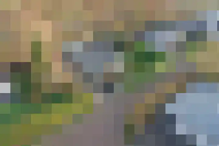 Eikenlaan 5 Kamperland thumbnail 33