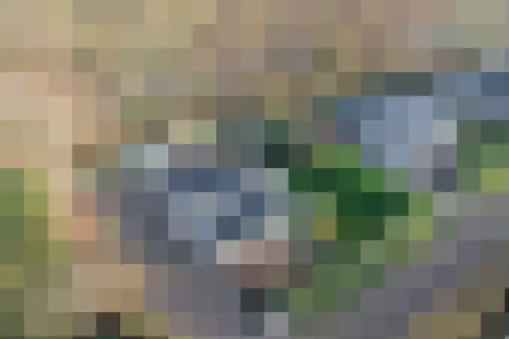 Eikenlaan 5 Kamperland thumbnail 38