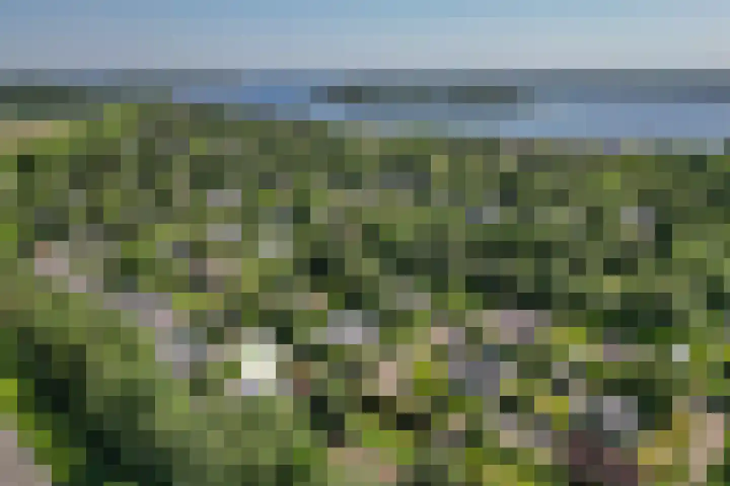 Eikenlaan 5 Kamperland thumbnail 4