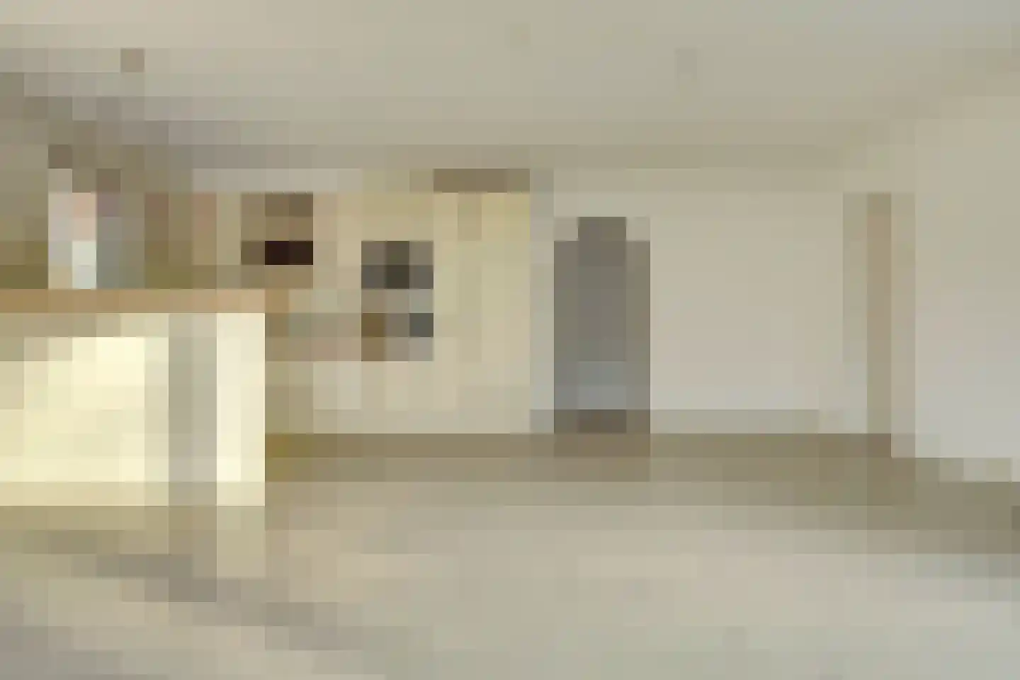 Eikenlaan 5 Kamperland thumbnail 8