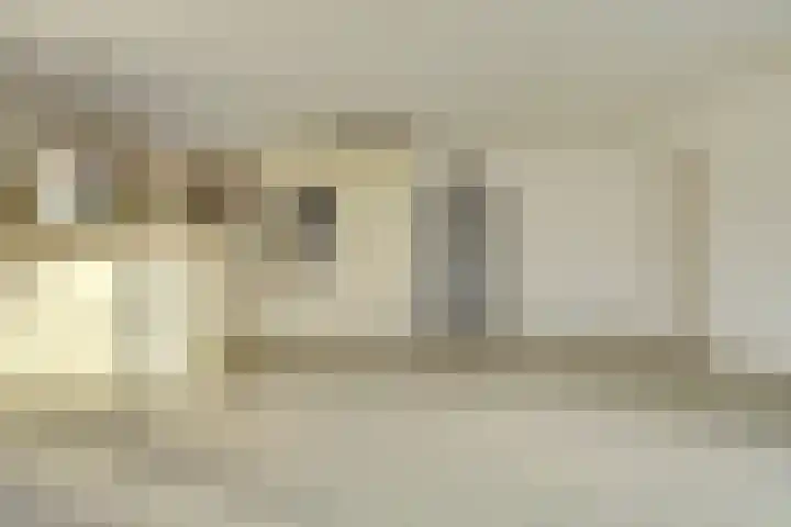 Eikenlaan 5 Kamperland thumbnail 8