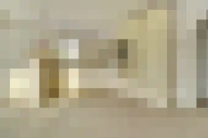 Eikenlaan 5 Kamperland thumbnail 9