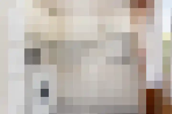 Eikenlaan 5 Leiderdorp thumbnail 10