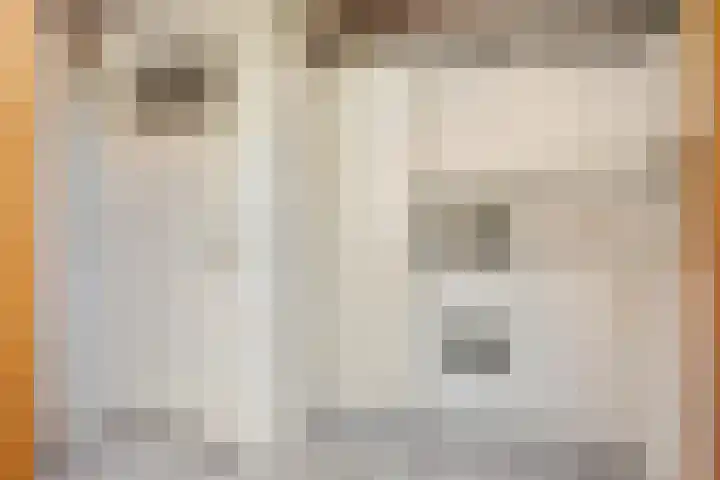 Eikenlaan 5 Leiderdorp thumbnail 11