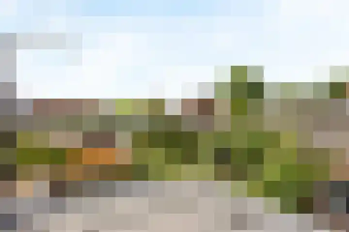 Eikenlaan 5 Leiderdorp thumbnail 21