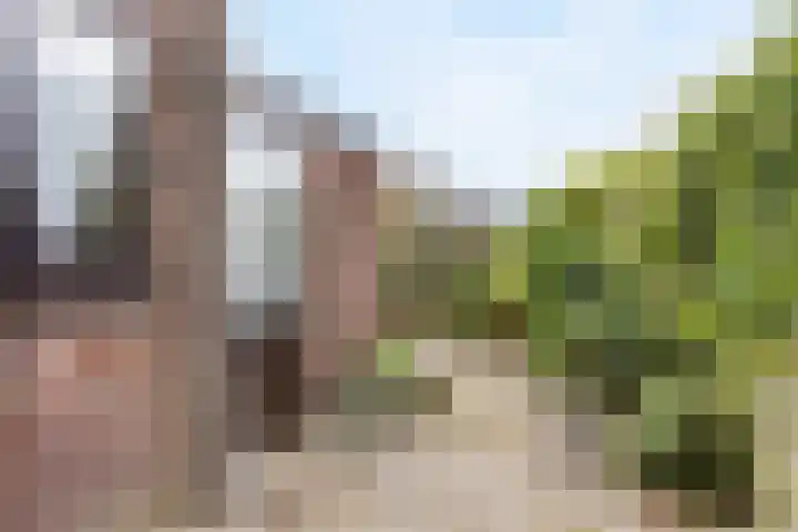 Eikenlaan 5 Leiderdorp thumbnail 22