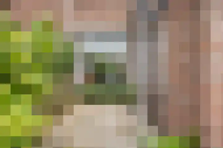 Eikenlaan 5 Leiderdorp thumbnail 23