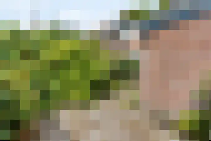 Eikenlaan 5 Leiderdorp thumbnail 24