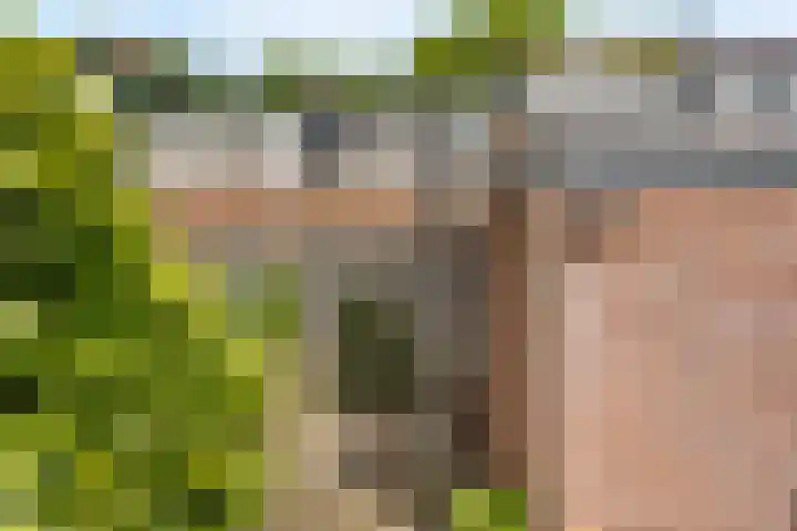 Eikenlaan 5 Leiderdorp thumbnail 26