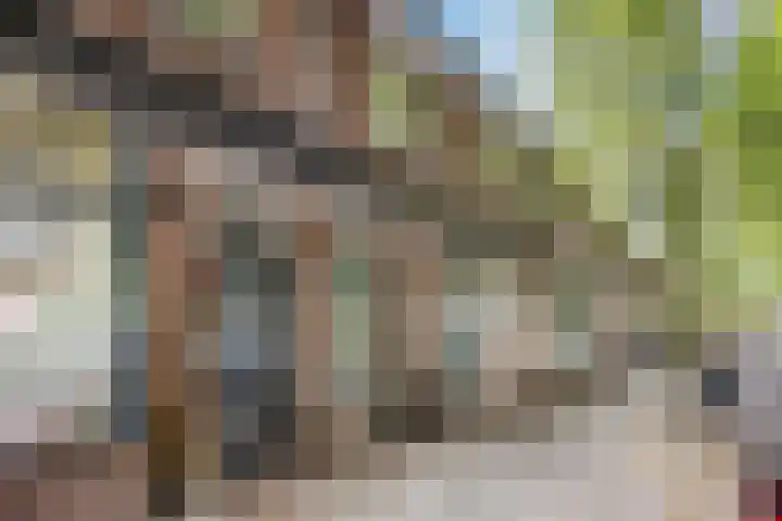 Eikenlaan 5 Leiderdorp thumbnail 27