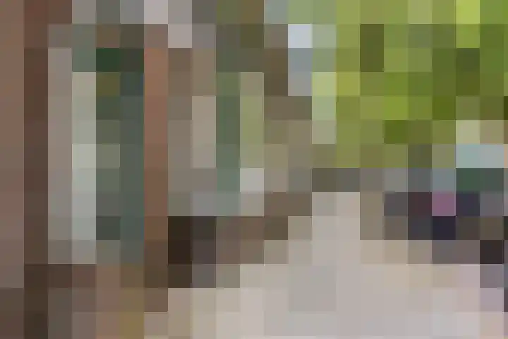 Eikenlaan 5 Leiderdorp thumbnail 28