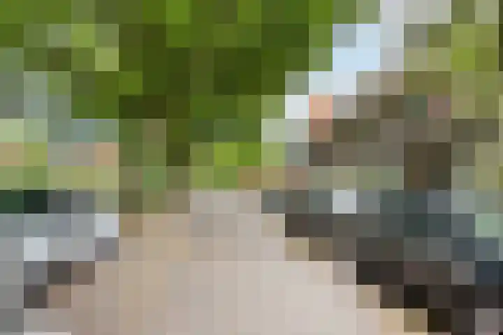 Eikenlaan 5 Leiderdorp thumbnail 31