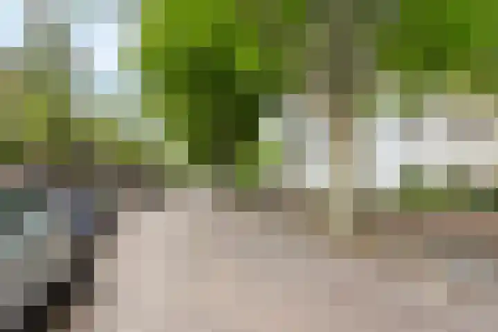 Eikenlaan 5 Leiderdorp thumbnail 32