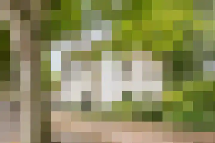 Eikenlaan 5 Leiderdorp thumbnail 33