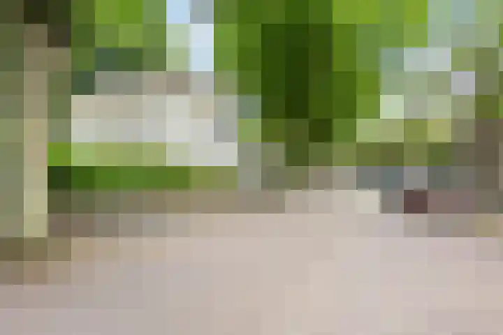 Eikenlaan 5 Leiderdorp thumbnail 34