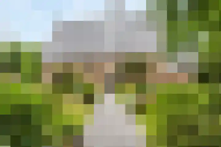 Eikenlaan 5 Leiderdorp thumbnail 35