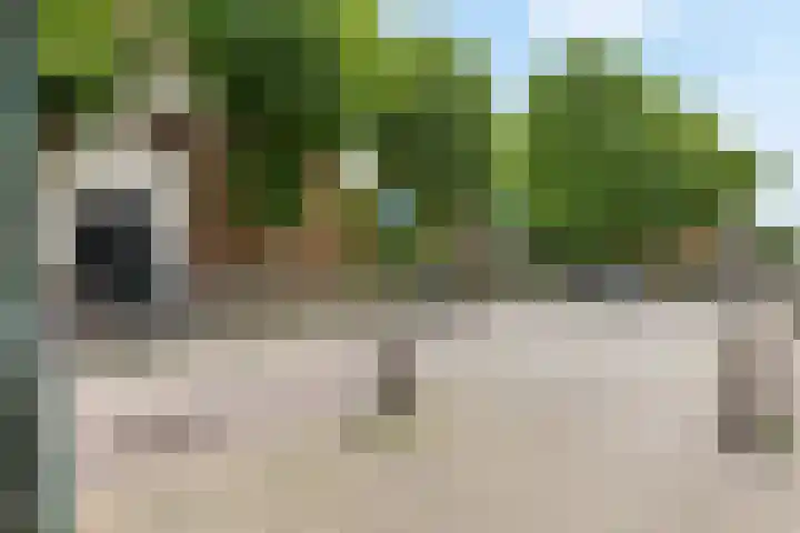 Eikenlaan 5 Leiderdorp thumbnail 36