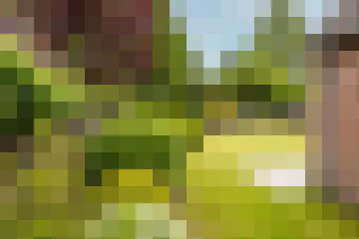 Eikenlaan 5 Leusden thumbnail 20