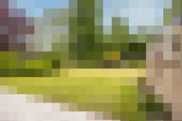 Eikenlaan 5 Leusden thumbnail 22