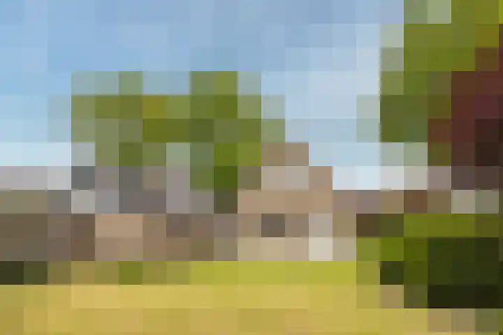 Eikenlaan 5 Leusden thumbnail 24