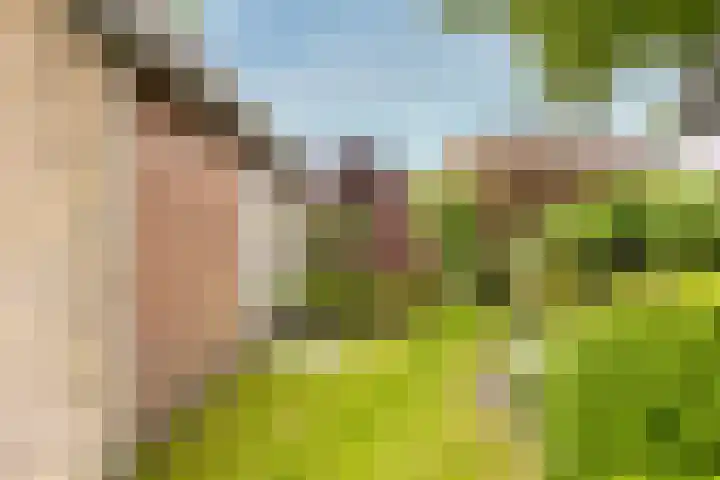 Eikenlaan 5 Leusden thumbnail 25