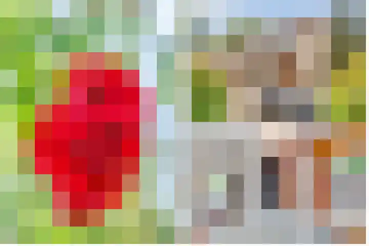 Eikenlaan 5 Maarn thumbnail 25
